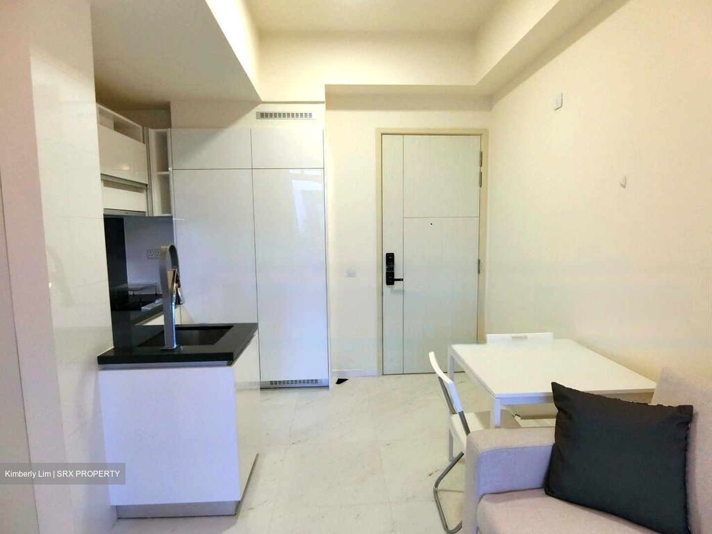 Lincoln Suites (D11), Condominium #481045941